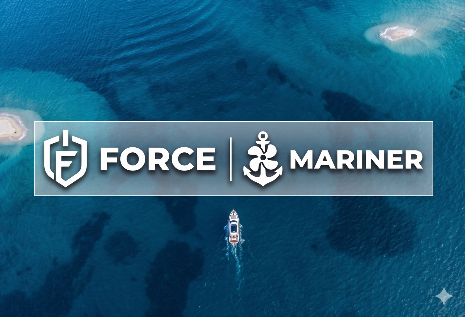 Force & Mariner Parts